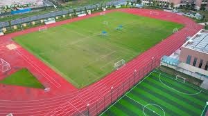 什么是“策略弹性”？（策略的弹性意味着什么？）